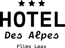 Hotel des Alpes - VM Gastro GmbH